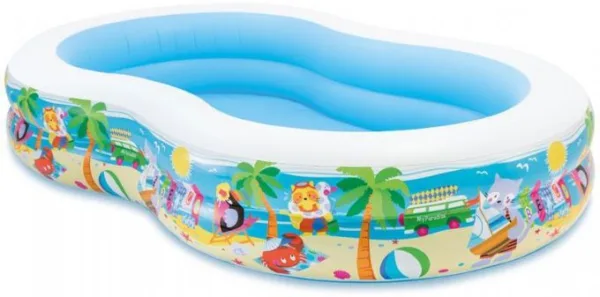 Intex Pool