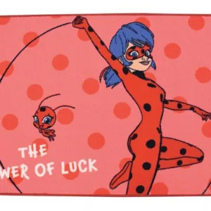 Ladybug og Cat Noir