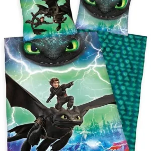 How to Train Your Dragon