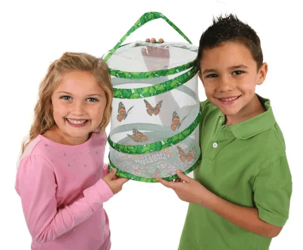 Sommerfuglehave m. 5 stk larver (kupon) - Insect Lore