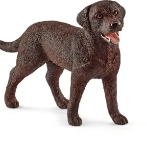 Labrador Retriever, hun - Schleich