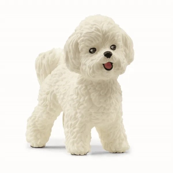 Bichon Frisé - Schleich
