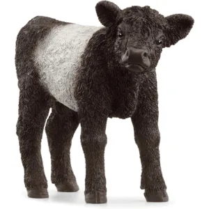 Gallowaykalv - Schleich