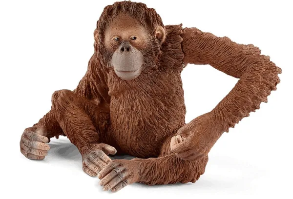 Orangutang-hun - Schleich