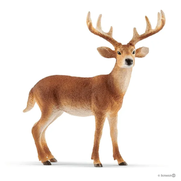 Whitetail-hjort - Schleich