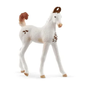 Marwari Foal - Schleich