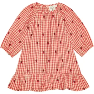 Flöss Kjole Molly - Berry Gingham - Jordbær - Flöss